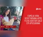 Família vira vegetariana após filha adotar galo em Apucarana