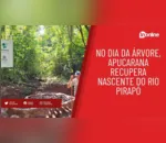 No Dia da Árvore, Apucarana recupera nascente do Rio Pirapó