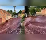 O "rio" de vinho se formou após depósitos estourarem