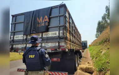 PRF encontra carga de contrabando escondida sob palha no Paraná; veja