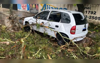 Temporal deixa rastro de destruição em Apucarana; veja fotos e vídeos