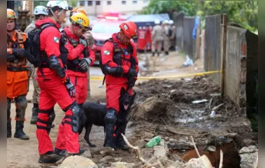Paraná envia mais bombeiros e cães para ajudar o Rio Grande do Sul