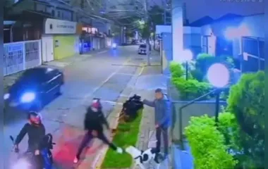 Cachorro defende dono durante passeio e impede assalto; veja vídeo