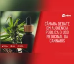Câmara debate em audiência pública o uso medicinal da cannabis