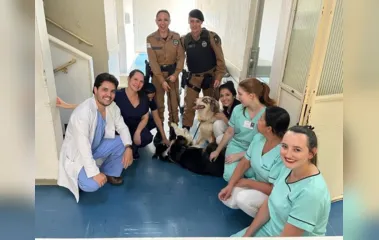 Cão terapeuta da PM leva alegria aos pacientes do 'Providência'