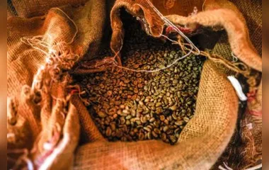 O Paraná passou a ser reconhecido pela qualidade do seu café