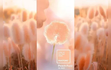 Pantone anuncia 'Peach Fuzz' como cor do ano; confira detalhes