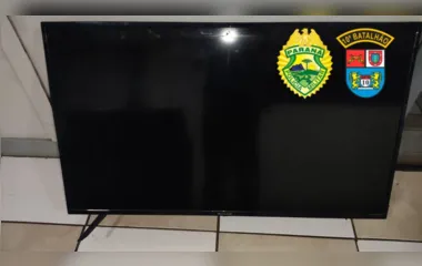 Polícia recupera TV que estava escondida em terreno vazio de Apucarana
