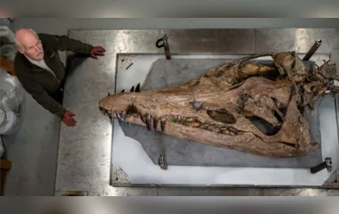 Cientistas acham crânio de pliossauro, o 'tiranossauro subaquático'