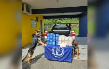 PRF apreende 76 kg de cocaína com ajuda de cães farejadores; vídeo