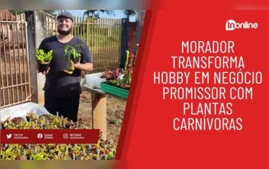 Morador transforma hobby em negócio promissor com plantas carnívoras