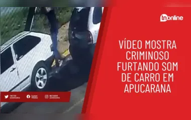 Vídeo mostra criminoso furtando som de carro em Apucarana