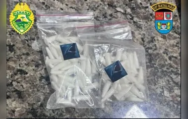 Drogas estava dentro de sacos plásticos, segundo PM