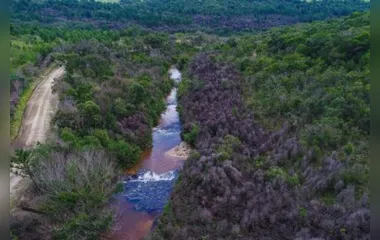 O Paraná ainda abriga alguns remanescentes de Cerrado