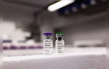 PR recebe 1º lote de vacinas contra dengue para atender 30 municípios