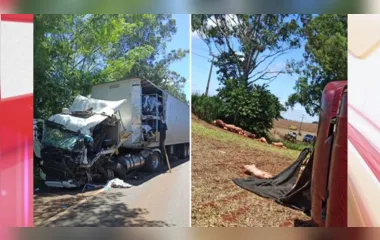 Duas pessoas ficam feridas após acidente entre caminhões no Paraná