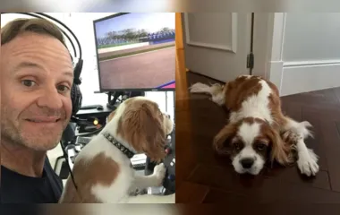 Cachorro de Rubinho Barrichello morre após comer bitucas de cigarro