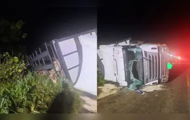 O motorista do veículo não sofreu ferimentos