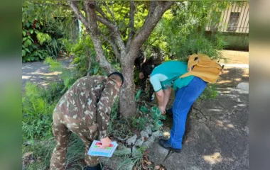 Soldados do 30º BIMec reforçam o combate à dengue em Apucarana