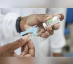 Vacinas serão realizadas de segunda a sexta