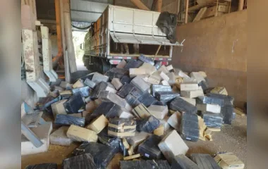 PRF apreende quase 6 toneladas de maconha dentro de caminhão no PR