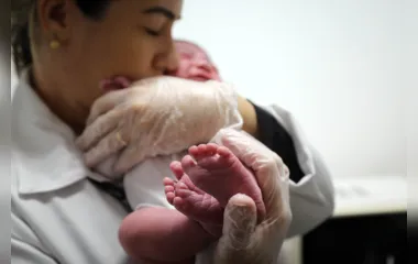Dados do IBGE apontam nascimentos em queda e casamentos em alta no PR