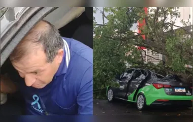 Árvore cai sobre carro, e motorista escapa por um triz de ser esmagado