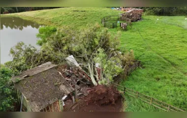 Microexplosão arranca árvores e destelha casa; entenda o fenômeno