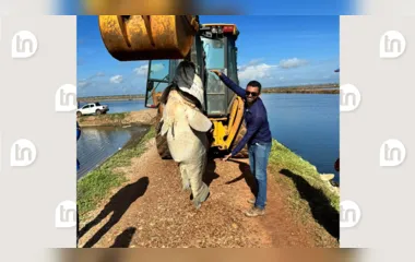 Peixe de 200 kg é achado morto em canal de abastecimento de fazenda