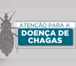 Sesa divulga cartilha que trata da prevenção da Doença de Chagas