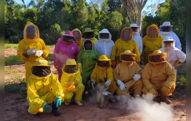 Centro da UEM desenvolve pesquisa genética com abelhas