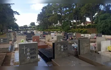 Ladrões furtam peças de 200 túmulos em cemitério do PR; um foi preso