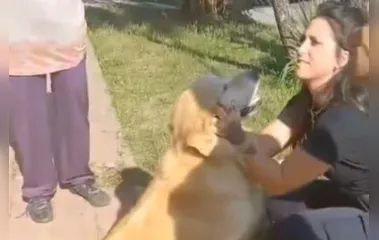 Mulher tenta abater pet em açougue e perde guarda do animal