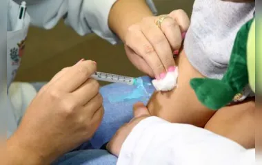 Vacinação contra dengue começou na região de Apucarana