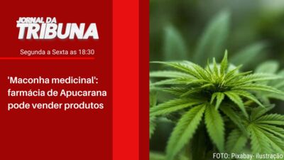 'Maconha medicinal': farmácia de Apucarana pode vender produtos