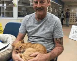 Gato reencontra dono após passar 14 anos desaparecido