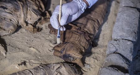 Tumbas com dezenas de gatos mumificados são achadas no Egito