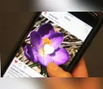 Instagram escolhe Brasil para testar função de vídeos curtos com música