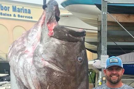 Com linha e anzol, pescador pega peixe gigante de 50 anos e 158Kg