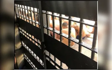 Polícia apreende celulares, maconha e facas na cadeia de Faxinal